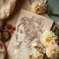 Iron Orchid Designs - Charlotte - Decor Stamp