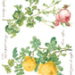 Iron Orchid Designs - Rose Botanical - Furniture Decor Transfer Pad