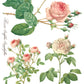 Iron Orchid Designs - Rose Botanical - Furniture Decor Transfer Pad