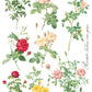 Iron Orchid Designs - Rose Botanical - Furniture Decor Transfer Pad