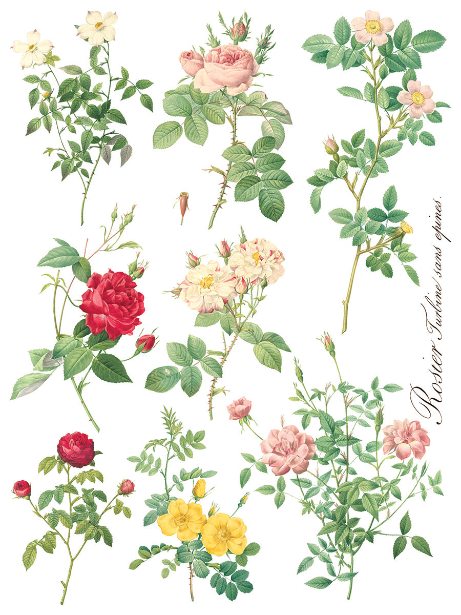 Iron Orchid Designs - Rose Botanical - Furniture Decor Transfer Pad