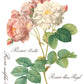 Iron Orchid Designs - Rose Botanical - Furniture Decor Transfer Pad