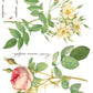 Iron Orchid Designs - Rose Botanical - Furniture Decor Transfer Pad