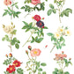 Iron Orchid Designs - Rose Botanical - Furniture Decor Transfer Pad