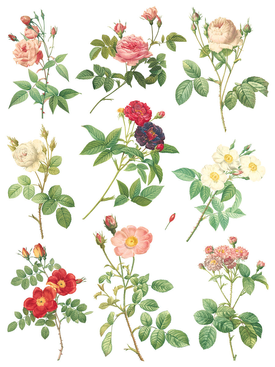 Iron Orchid Designs - Rose Botanical - Furniture Decor Transfer Pad