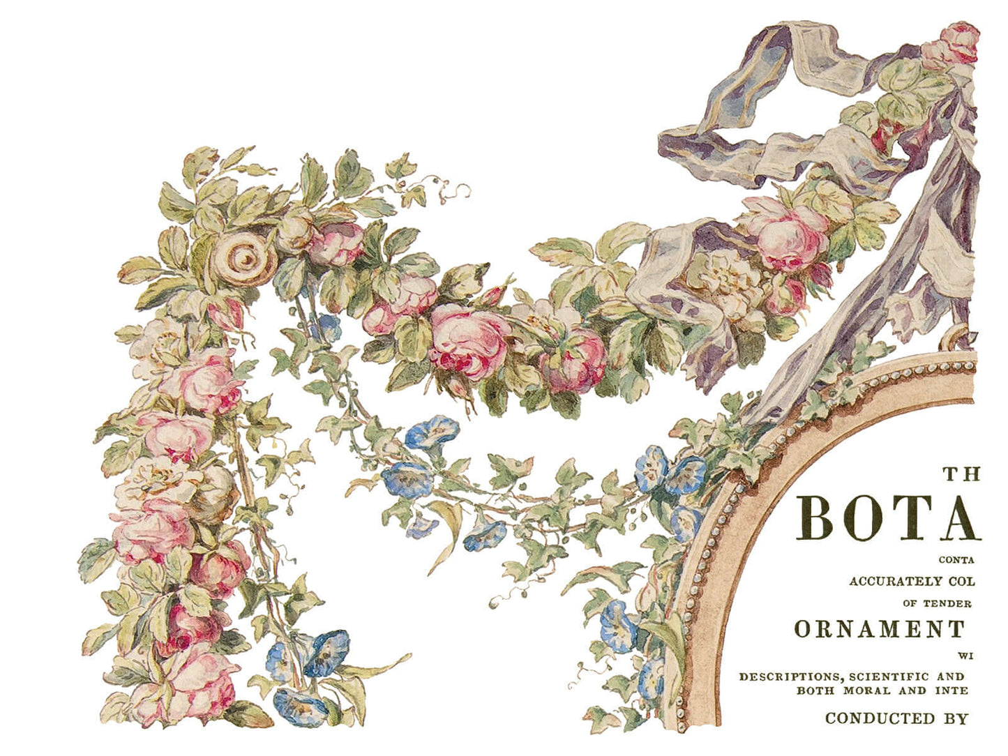 Iron Orchid Designs The Botanist Transfer sheet one