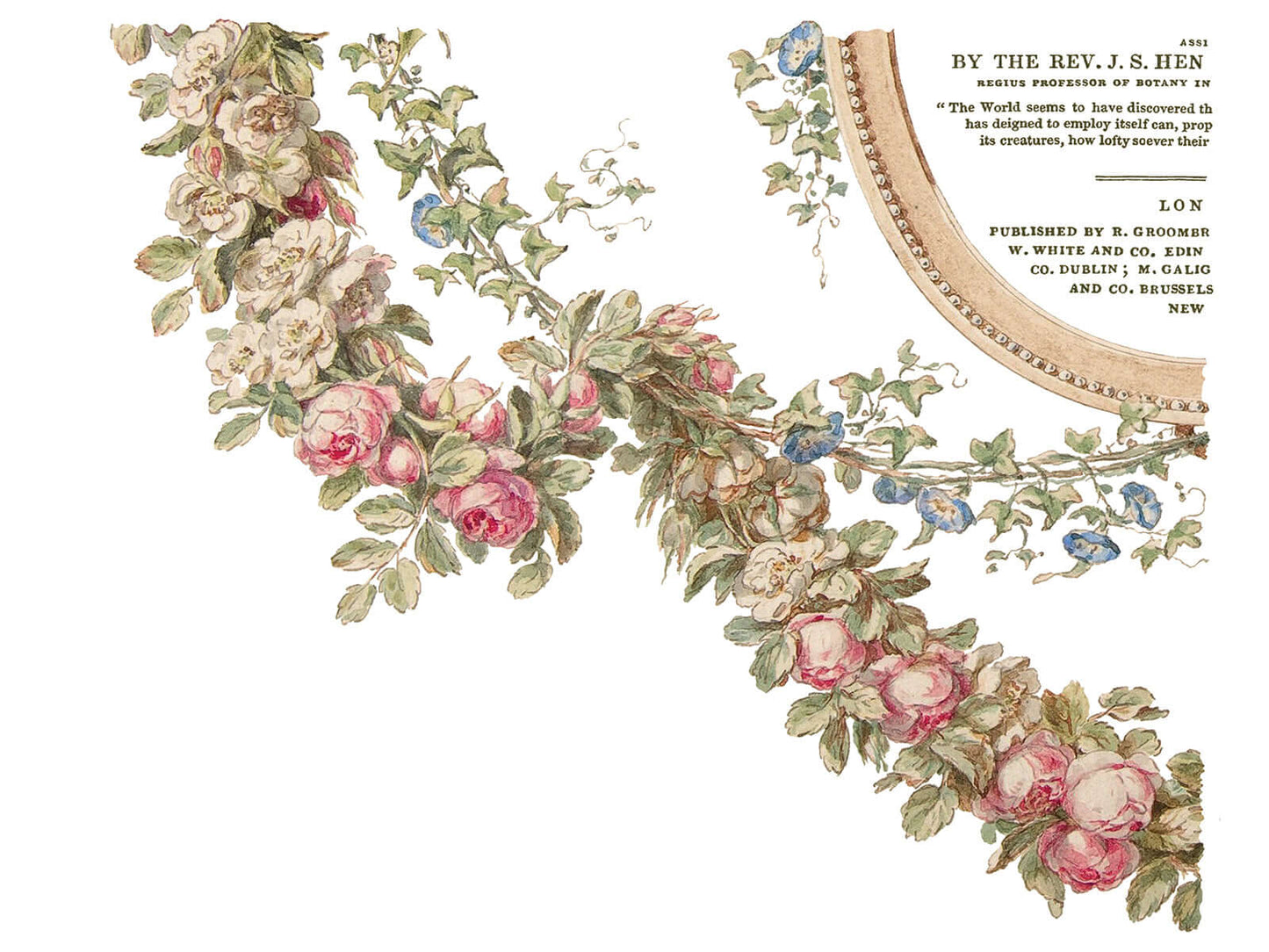 Iron Orchid Designs The Botanist Transfer sheet three