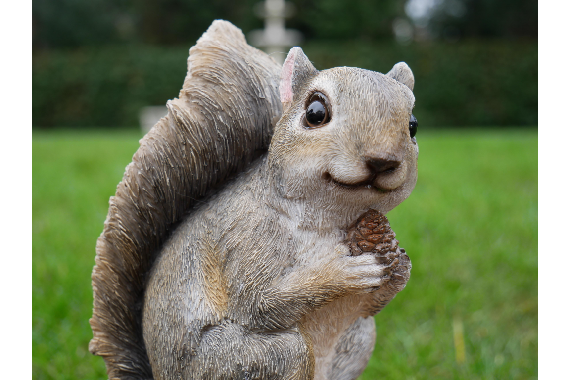 Squirrel Feeder