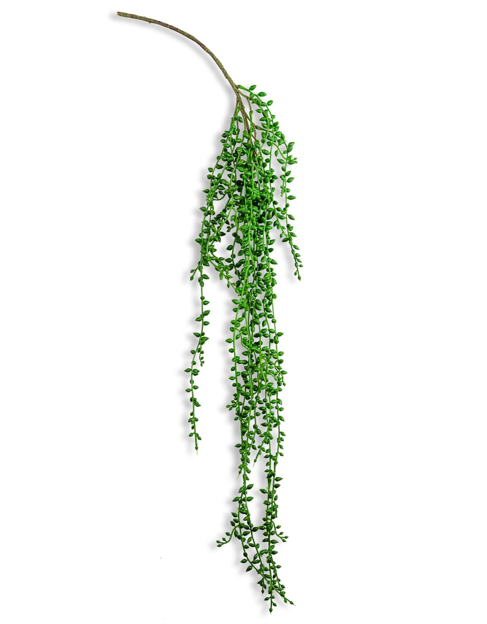 Ornamental Hanging Vine