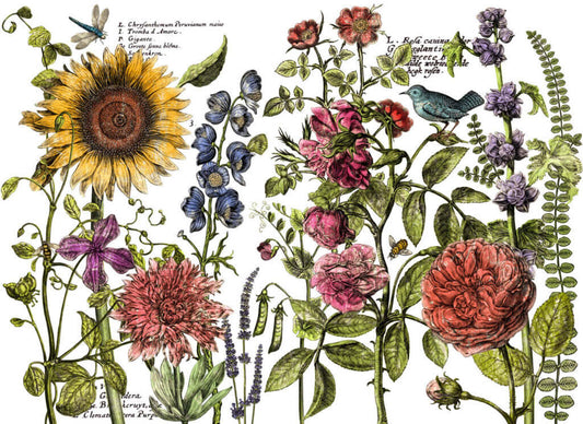 Brightly coloured florals showing Iron Orchid Designs Botanist's Journal Transfer in its entirety