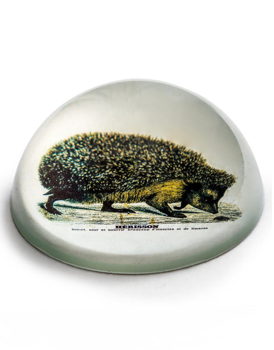 Hedgehog Paper Weight