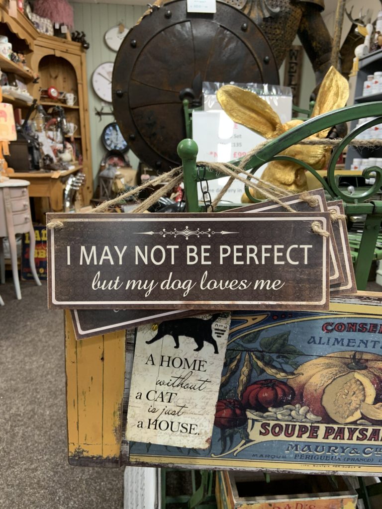 I May Not Be Perfect But My Dog Loves Me - Sign