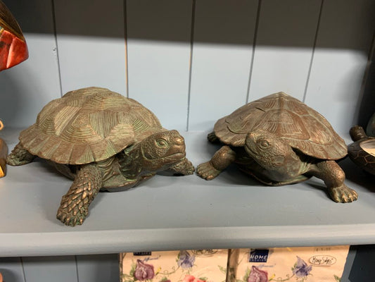 Tortoises - Set of 2