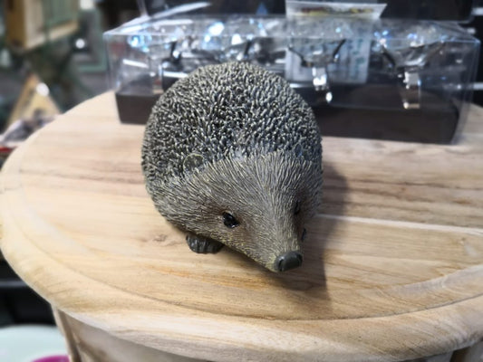 Large Brown Hedgehog