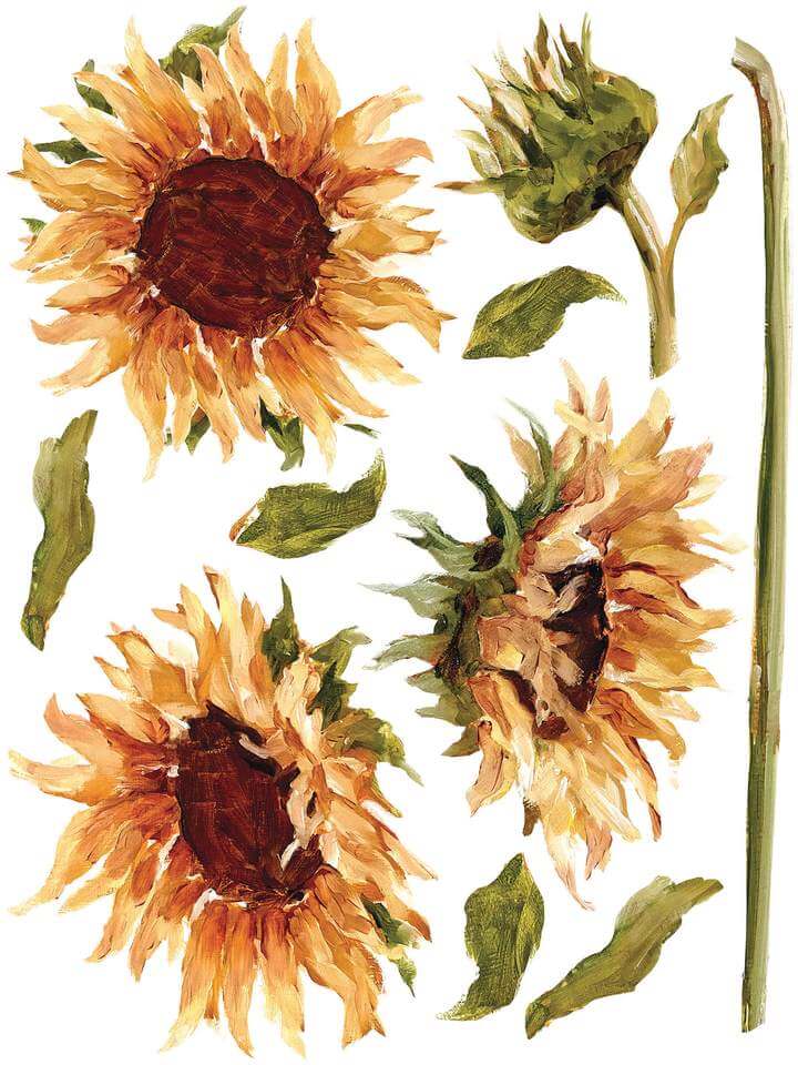 Three big yellow sunflowers with leaves and stems Iron Orchid Designs Painterly Florals Transfer on a white background