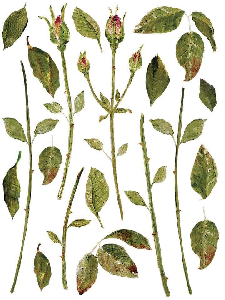 Various green stems and leaves from Iron Orchid Designs Painterly Florals Transfer on a white background