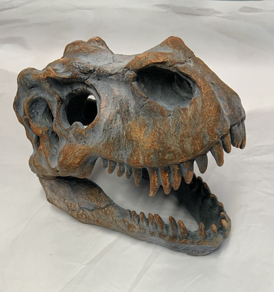 T-Rex Skull Decor