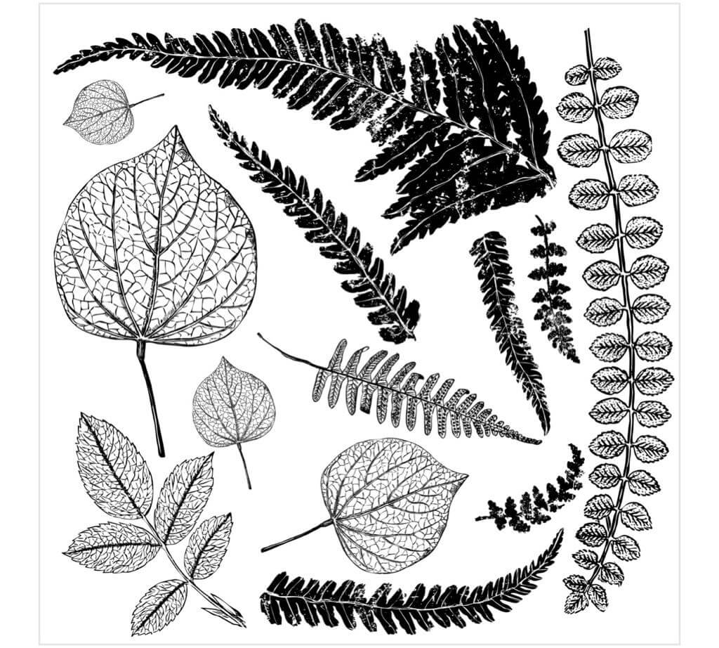 An assortment of leaves and ferns on Iron Orchid Designs Fronds 12" x 12" stamp